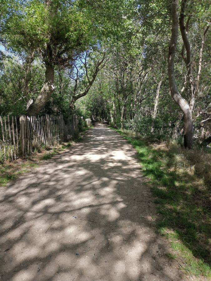 Griad In De Duinen De Haan Zewnętrze zdjęcie